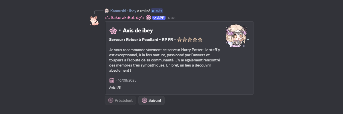 Aperçu de la commande /avis