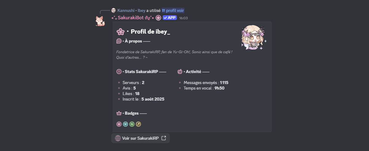 Aperçu de la commande /profil voir